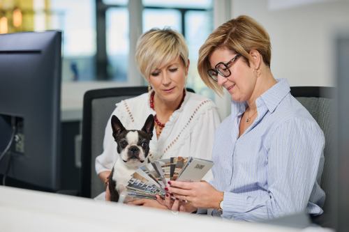 Conception d'ameublement en Province de Liège, Wallonie